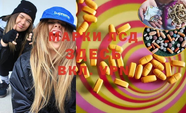ГАЛЛЮЦИНОГЕННЫЕ ГРИБЫ Белокуриха