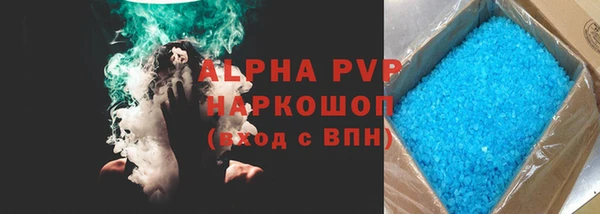 ГАЛЛЮЦИНОГЕННЫЕ ГРИБЫ Белокуриха