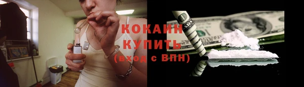 ГАЛЛЮЦИНОГЕННЫЕ ГРИБЫ Белокуриха