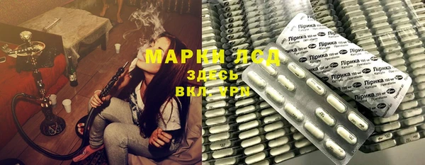 ГАЛЛЮЦИНОГЕННЫЕ ГРИБЫ Белокуриха