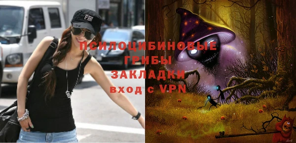ГАЛЛЮЦИНОГЕННЫЕ ГРИБЫ Белокуриха