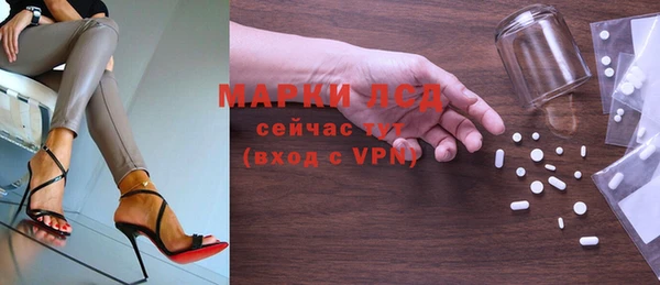 ГАЛЛЮЦИНОГЕННЫЕ ГРИБЫ Белокуриха