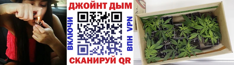 Конопля семена  что такое   Высоцк 